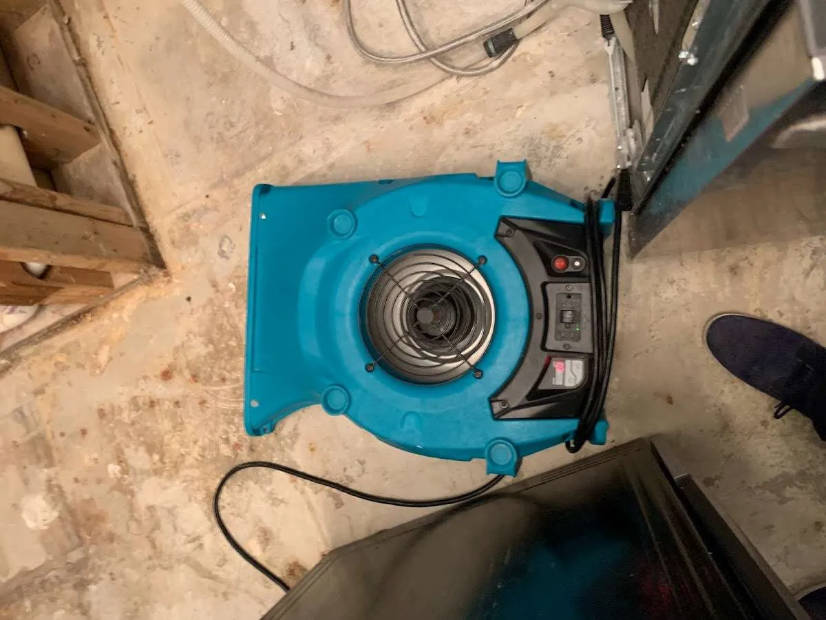Air mover drying equipment for Mold Remediation & Removal in Mahtomedi